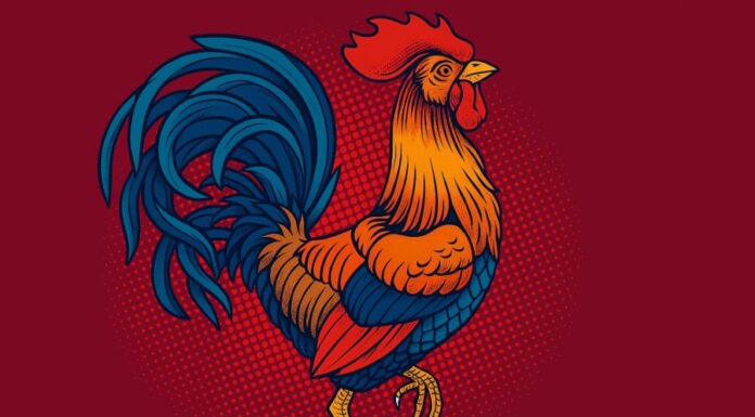 A Fortune-Flipping Opportunity: 3 Zodiac Signs Blessed with Luck from May Onwards, an Early Investment Could Pay Off Big Time