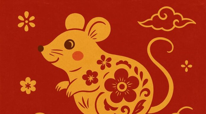 The Lucky Four: Zodiac Signs Destined for Wealth and Prosperity