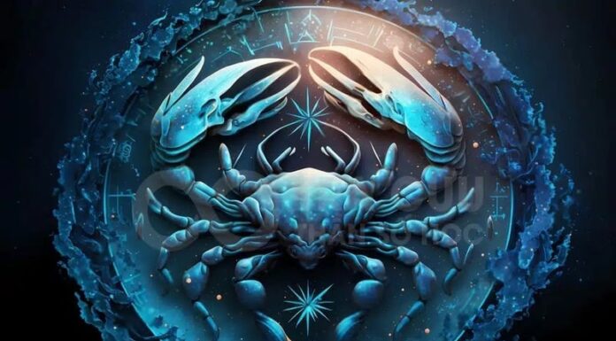 3 Zodiac Signs to Experience Blooming Love and Financial Success Before 12/31/2025