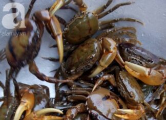 The Ultimate Guide to Cooking Crab Soup: A Delicious, Fragrant, and Crystal-Clear Broth