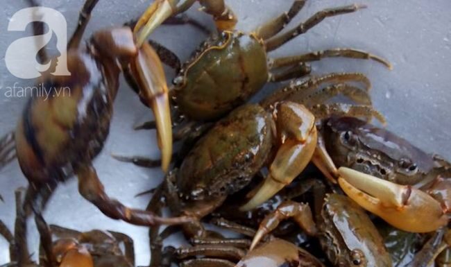 The Ultimate Guide to Cooking Crab Soup: A Delicious, Fragrant, and Crystal-Clear Broth