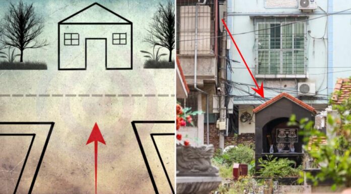 The Secret to Abundance: Is Your Front Door Facing One of These Four Directions?