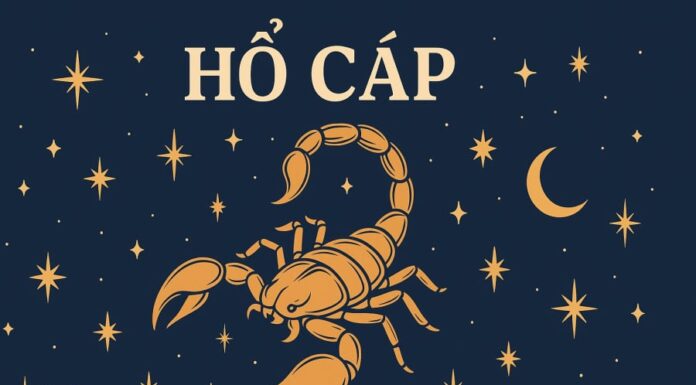 June 2025: 3 Zodiac Signs That Need to “Clear Out Emotional Baggage” for True Happiness