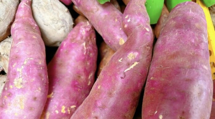 5 Skin-Boosting Foods for a Glowing Complexion