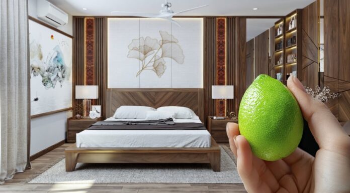Why Keep a Lemon by Your Bedside?