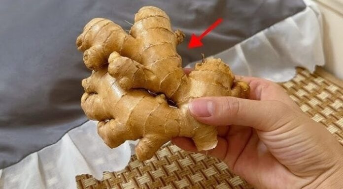 The Secret to a Good Night’s Sleep: Ginger Under Your Pillow