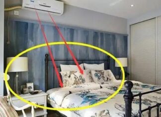 Avoid These 4 Spots When Installing Your AC for a Cool and Healthy Home