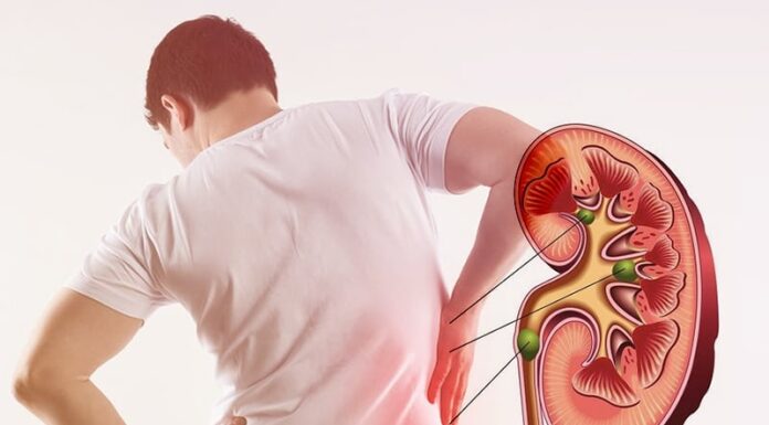 5 Warning Signs Your Kidneys Are in Danger: Don’t Ignore, Seek Medical Attention