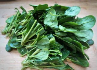 The Ultimate Veggie Stir-Fry: A Delicious, Nutritious Duo That Packs a Punch