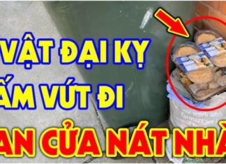 The Four Imposing Objects of Waning Fortune: A Home’s Unfortunate Imbalances