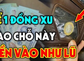 The 3 Lucky Charms Under Your Pillow for a Wealthy Life: Wake Up to a Fortune Every Day and Bid Goodbye to Poverty Forever.