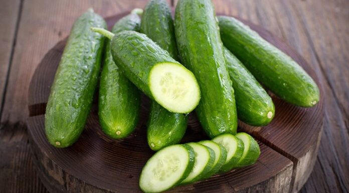 Is Cucumber a ‘Hormone Fruit’? Eating Too Much Can Cause Poisoning and Cancer? The Truth Behind the Claims.