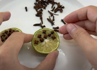 The Ultimate Mosquito Repellent: Lemons to the Rescue!