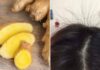 “The Ginger Hair Growth Secret: Stop Hair Loss and Stimulate Hair Follicles.”