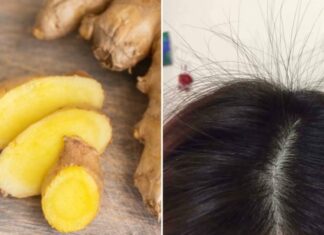 “The Ginger Hair Growth Secret: Stop Hair Loss and Stimulate Hair Follicles.”