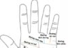 Are You One of the Lucky Few With This Palm Line?
