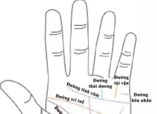 Are You One of the Lucky Few With This Palm Line?