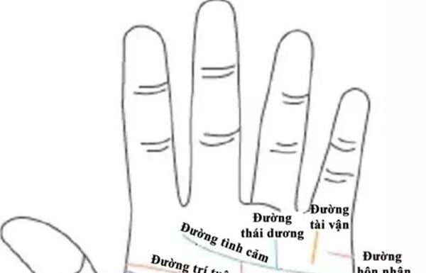 Are You One of the Lucky Few With This Palm Line?