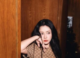 The Golden Ratio: Unveiling the Beauty Secrets of Vietnam’s Top Three Stunning Sirens