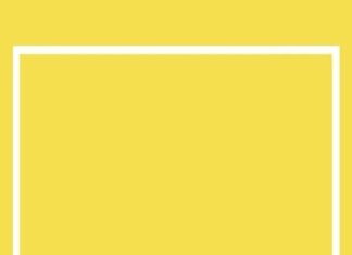 The Ultimate Guide to Summer’s Brightest Shades: 6 Colors to Flawlessly Flatter Your Skin Tone