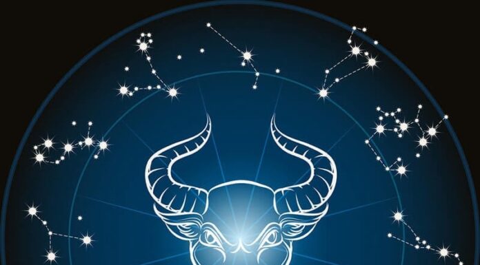 The Top 5 Stubborn Zodiac Signs That Are a Nightmare to Argue With