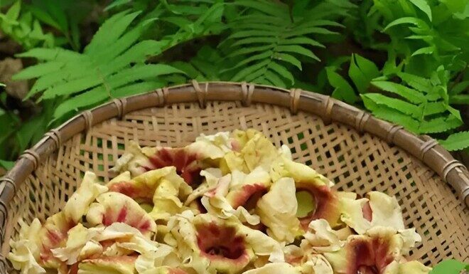 The Forgotten Flower: A Tasty Treat for the Urban Forager