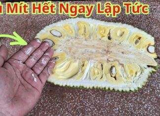 The Messy Miracle: Instantly Remove Sticky Jackfruit Residue with This Handy Trick