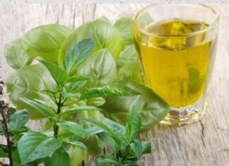 The Ultimate Guide to Growing the Lucky Veggie: A Feng Shui Must-Have