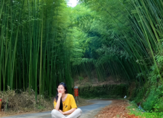 The Mystical Forest: A Hidden Gem 300km from Hanoi, A Breathtakingly Beautiful Escape.