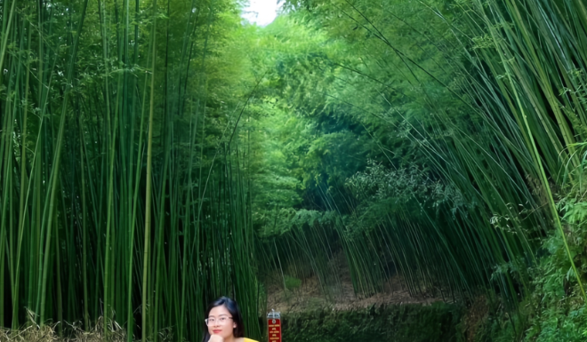 The Mystical Forest: A Hidden Gem 300km from Hanoi, A Breathtakingly Beautiful Escape.