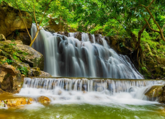 “The Hidden Gem of An Giang: A Breathtaking Creek in the Heart of the Forest”