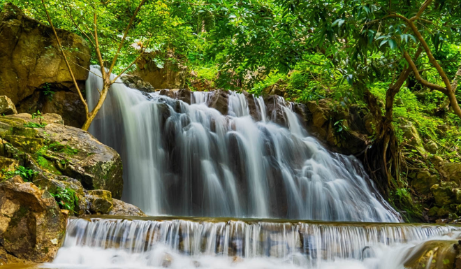 “The Hidden Gem of An Giang: A Breathtaking Creek in the Heart of the Forest”