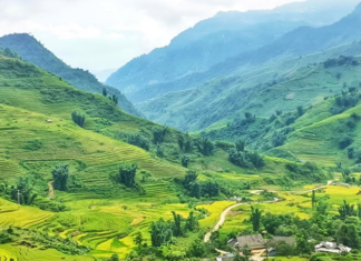 Unveiling the Highlands: A 200km Escape from Hanoi to a European-Esque Mountainous Retreat, with a Twist of Adventurous Cuisine.