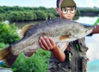 5 Delicious Fish Varieties With Tender Flesh and Minimal Bones: A Shopper’s Guide