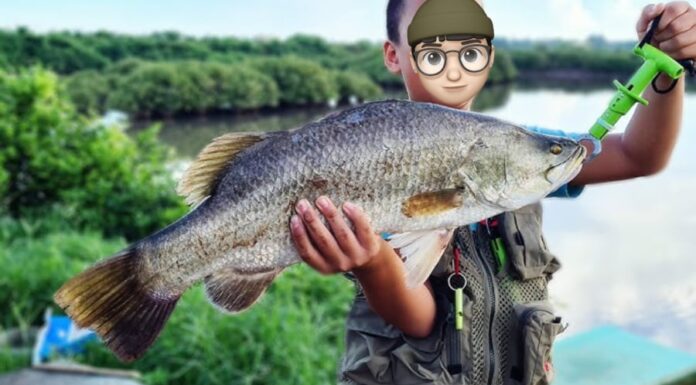 5 Delicious Fish Varieties With Tender Flesh and Minimal Bones: A Shopper’s Guide