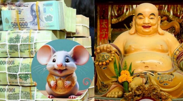 This Weekend (May 17-18): 3 Zodiac Signs Blessed with Abundant Wealth and Prosperity