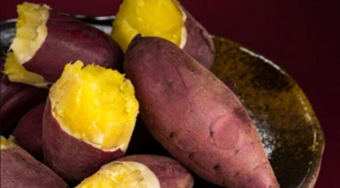 6 Immune-Boosting Foods to Fight Off Common Illnesses