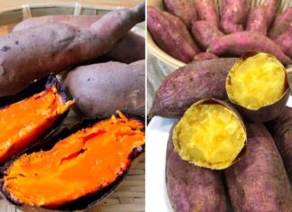 “The Sweet Potato Conundrum: A Healthy Treat with a Catch.”