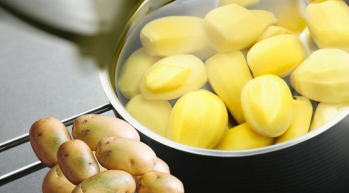The Amazing Health Benefits of Refrigerating Boiled Potatoes: A Surprising Revelation for Many.