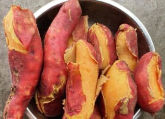 “The Sweet Potato Diet: A Tasty Guide to Weight Loss for Women.”