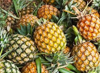 Are Pineapple, Fragrant and Khóm Three Different Fruits or Just Different Names for the Same Thing?