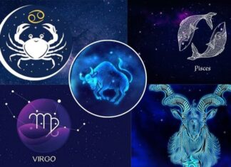 Which Zodiac Signs are Compatible with Taurus: Love Astrology and Relationships