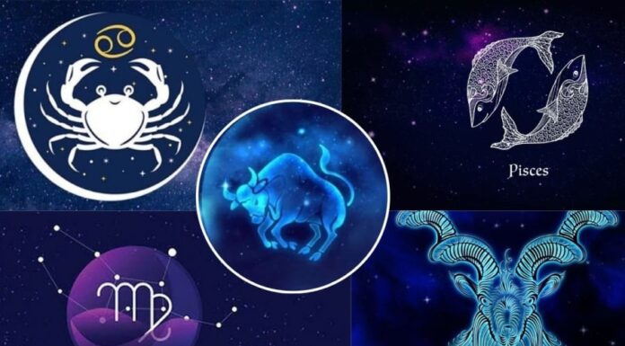 Which Zodiac Signs are Compatible with Taurus: Love Astrology and Relationships