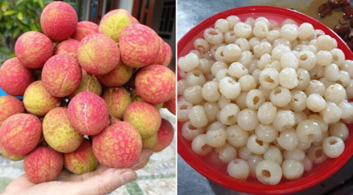 Pickling Season: Learn the 3-Ingredient Method for Delicious, Year-Long Preserved Plums