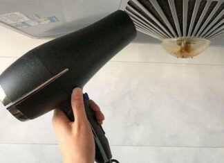 3 Effective Ways to Clean Your Fan Without Dismantling It: A Comprehensive Guide to a Dust-Free Breeze
