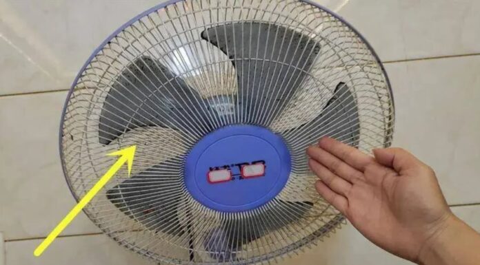 The Ultimate Guide to Dust-Free Electric Fans: A Quick and Easy Cleaning Hack