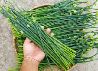 The Ultimate Guide to a Superfood Veggie: Stir-frying this with Beef to Create a Korean Delicacy