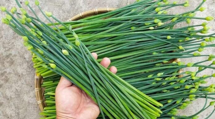 The Ultimate Guide to a Superfood Veggie: Stir-frying this with Beef to Create a Korean Delicacy