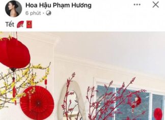 The Alluring Allure of Ms. Phạm Hương: A Tale of Marital Speculation and Intrigue