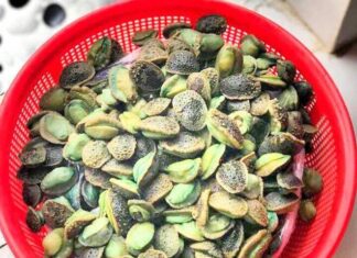 The Beast of Thanh Hoa: A Culinary Delights with a Fierce Name.